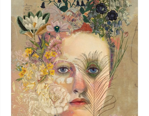 Galeria de ilustrações de Sarah Jarrett - Jamaica