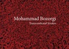 Mohammad Bozorgi, Transcendental Strokes
