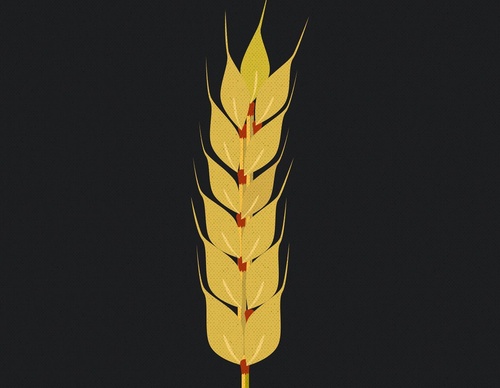 Gallery of Graphic Design by Bela Jude Jude-Spain