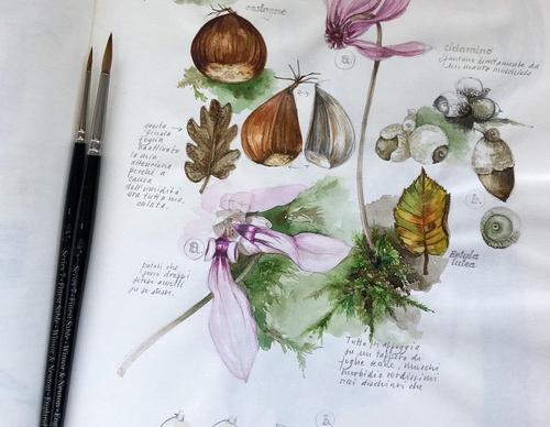 Gallery of Drawing by GiacoMina Ferrillo-Italy