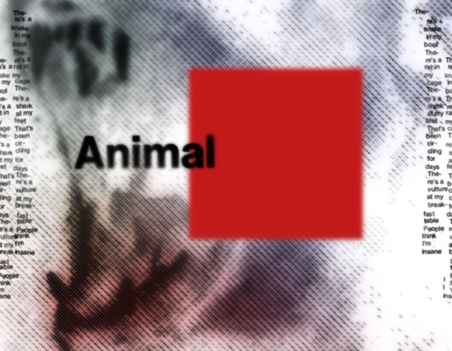 blank poster animal