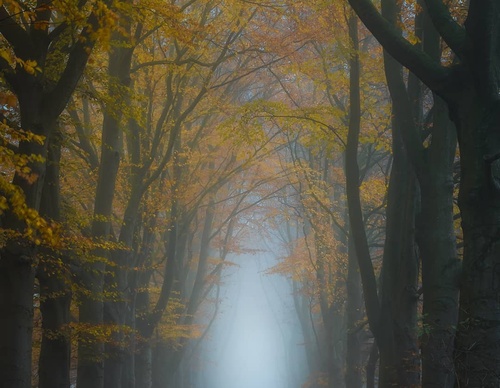 Galería de fotografía de Gijs de Reijke - Holanda