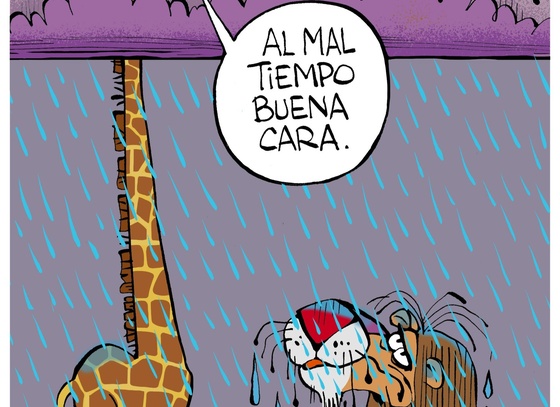 leoariastozzini