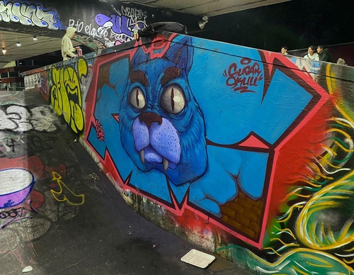 Gallery Of Street Art By Elchicho - Mexico