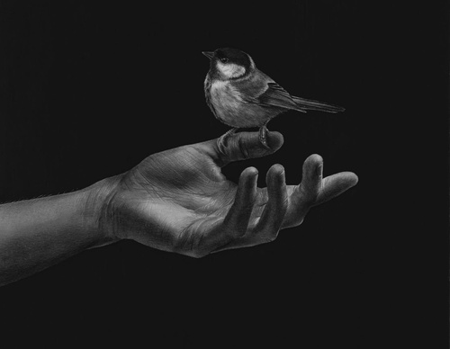 Gallery Of Realistic Painting By Emma Towers Evans - Brazil