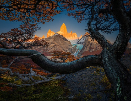 Galería de fotografía de Greg Boratyn - Argentina