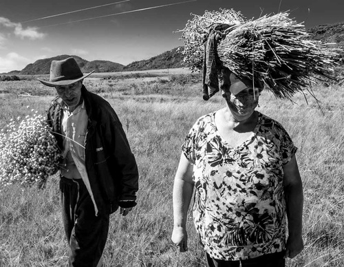 Gallery Of Photography By João Roberto Ripper - Brazil
