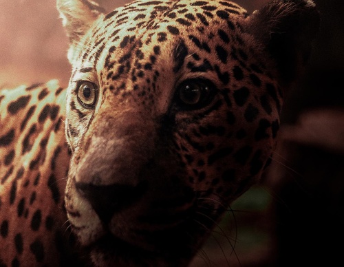 Gallery Of Photography By Chris Henry - USA