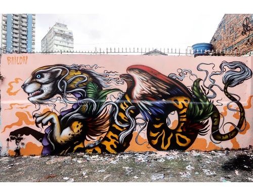 Gallery Of Street Art By Bailon - Brazil