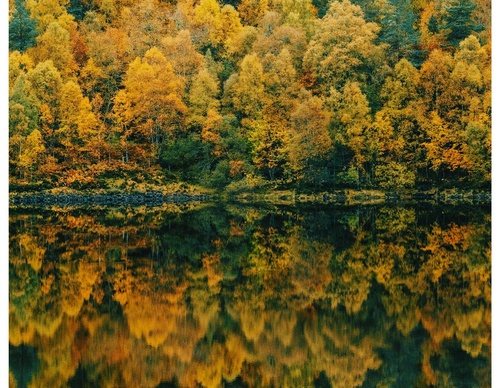 Gallery Of Photography By Daniel Casson - United Kingdom