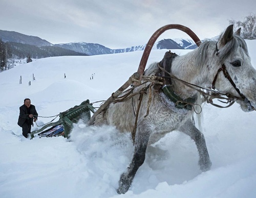 jonas bendiksen
