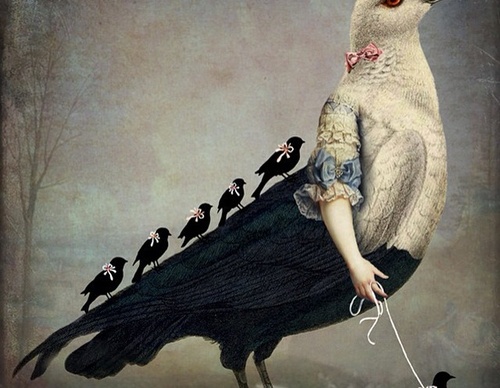 Galeria de ilustrações de Catrin Welz Stein - Alemanha