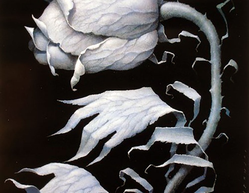 Gallery of illustration by Wiesław Wałkuski-Poland