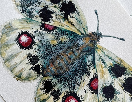 Gallery Of Painting By Rita Gould - United Kingdom