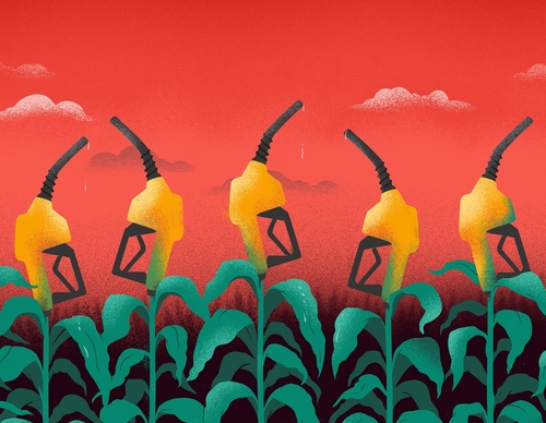 Gallery Of Illustration By Sebastien Thibault  - Canada