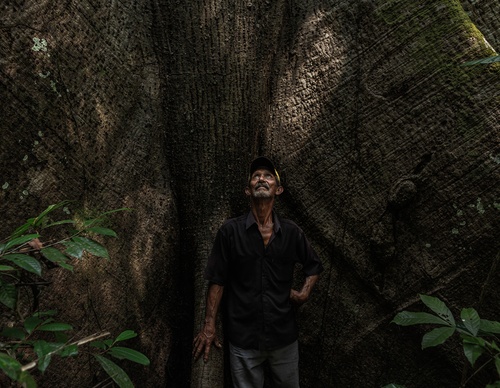 Gallery Of Photography By Renato Stockler - Brazil