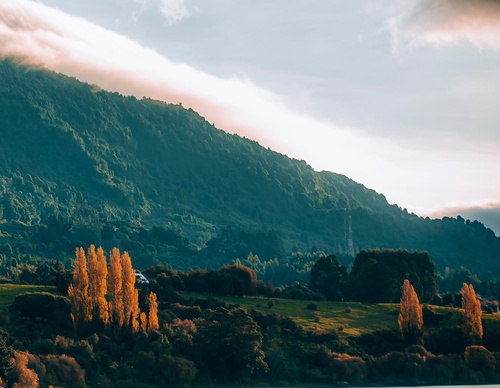 Gallery Of Photography By Sebastián Ojeda S - Chile