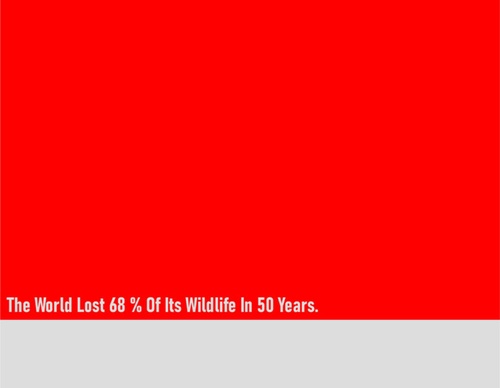 blank poster animal