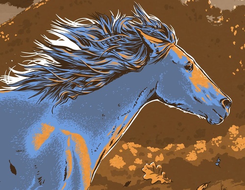 Galeria de ilustrações de Matthew Fleming - EUA