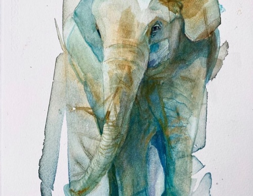 Gallery of Watercolor painting by Anette Gustafsson-Sweden