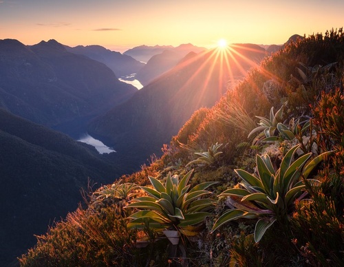 Galeria de fotografias de William Patino - Nova Zelândia