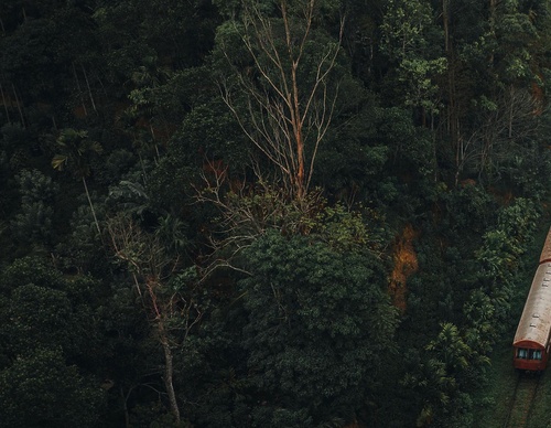 Gallery Of Photography By Luke Stackpoole - United Kingdom