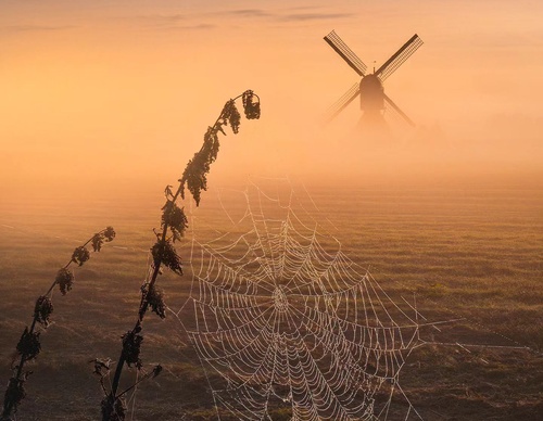 Gallery Of Photography By Albert Dros - Netherland