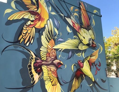 Gallery Of Street Art By Fio Silva - Argentina
