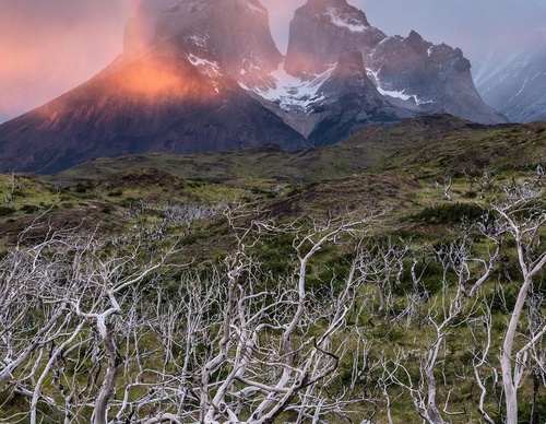 Gallery Of Photography By Timothy Dhalleine - Chile