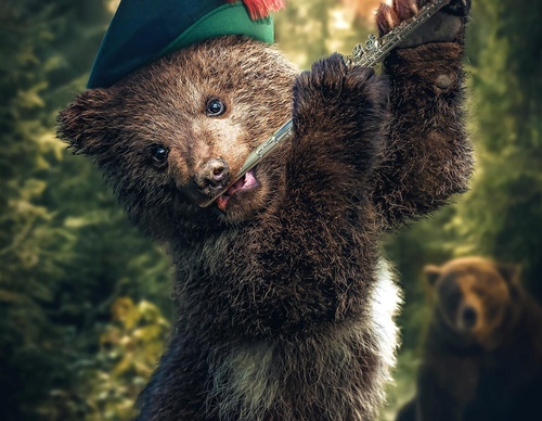 Galería de fotografías de Evgeny Gammer - Rusia