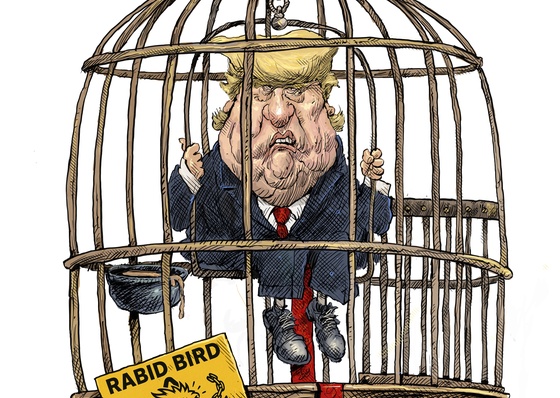 Trump, o pássaro raivoso