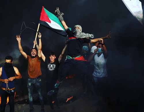 Galería de fotografías de Mohammed Zaanoun - Palestina