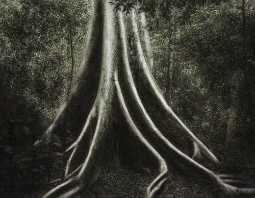 Gallery Of Photography By Cassio Vasconcellos - Brazil