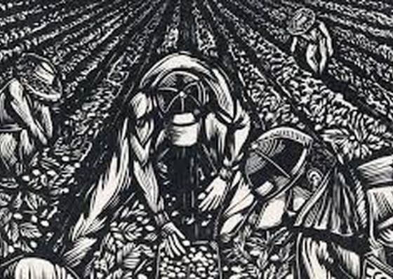 El grabado y su tradición en México y Chile