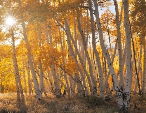 Galería de fotografía de Greg Boratyn - Argentina