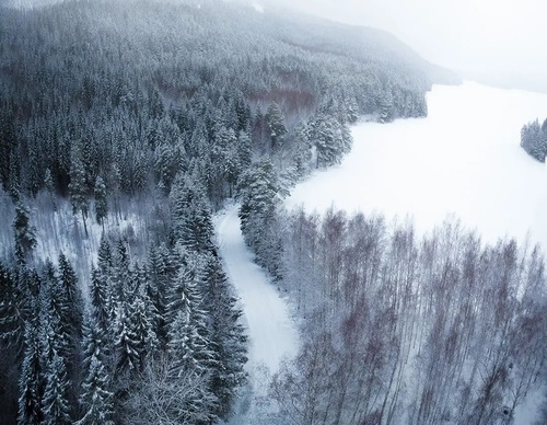 Gallery Of Photography By Elias Kalliola - USA