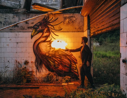 Gallery Of Street Art By Bailon - Brazil