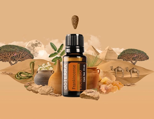 guillermo flores pacheco