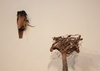 Galeria de Arte Moderna de Beatriz Cortez - Equador
