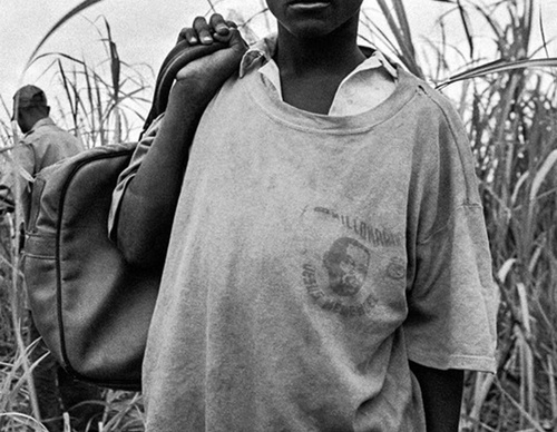 raul canibano