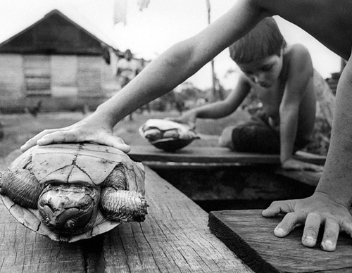 raul canibano