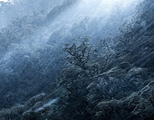Galeria de fotografias de William Patino - Nova Zelândia