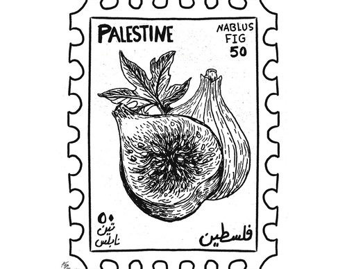 Galería de ilustraciones de Aya Elborgy - Egipto