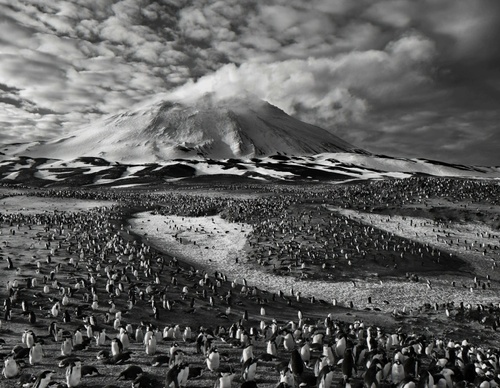 Galería de fotografía de Sebastião Salgado - Brasil