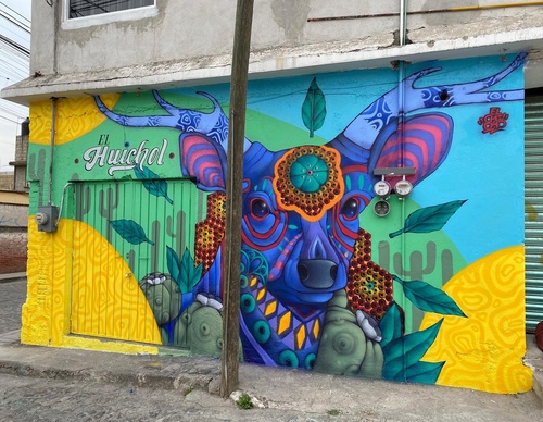 Gallery Of Street Art By Elchicho - Mexico