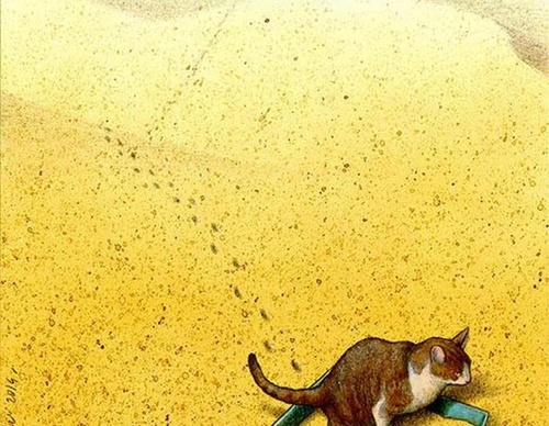 pawel kuczynski