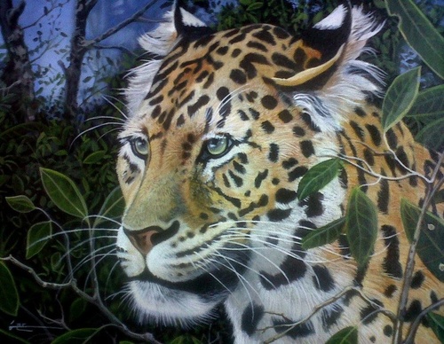 jorge castrillon