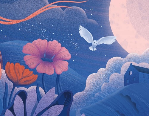 Gallery Of Illustration By Cat Finnie - England