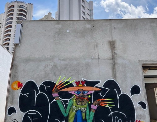 Gallery Of Street Art By Rafael Sliks - Brazil