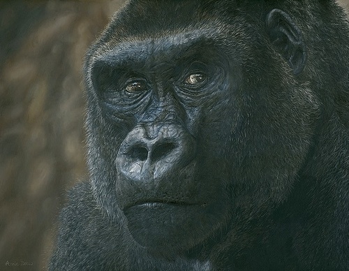 Galería de pintura realista de Annie Drew - Reino Unido